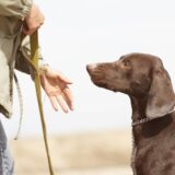 動物公認訓練士