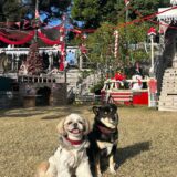 ドッグランルル