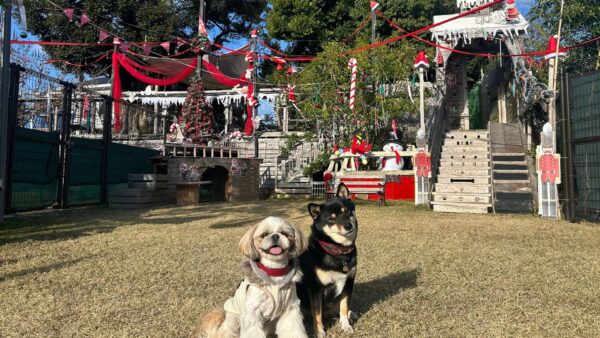 愛犬と行きたい！宗像市のオススメドッグラン