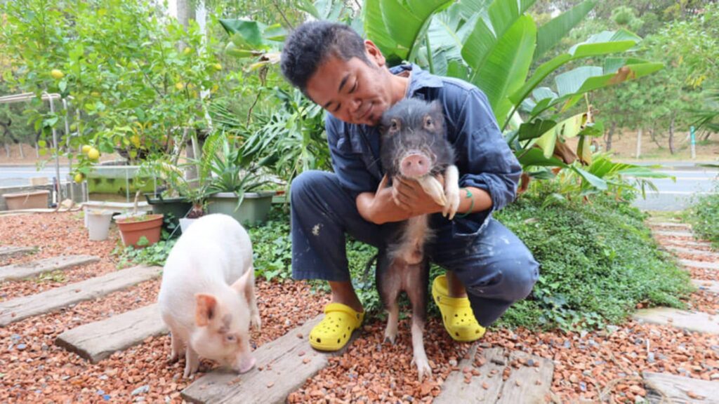 マイクロブタカフェBooBee（ブービー）