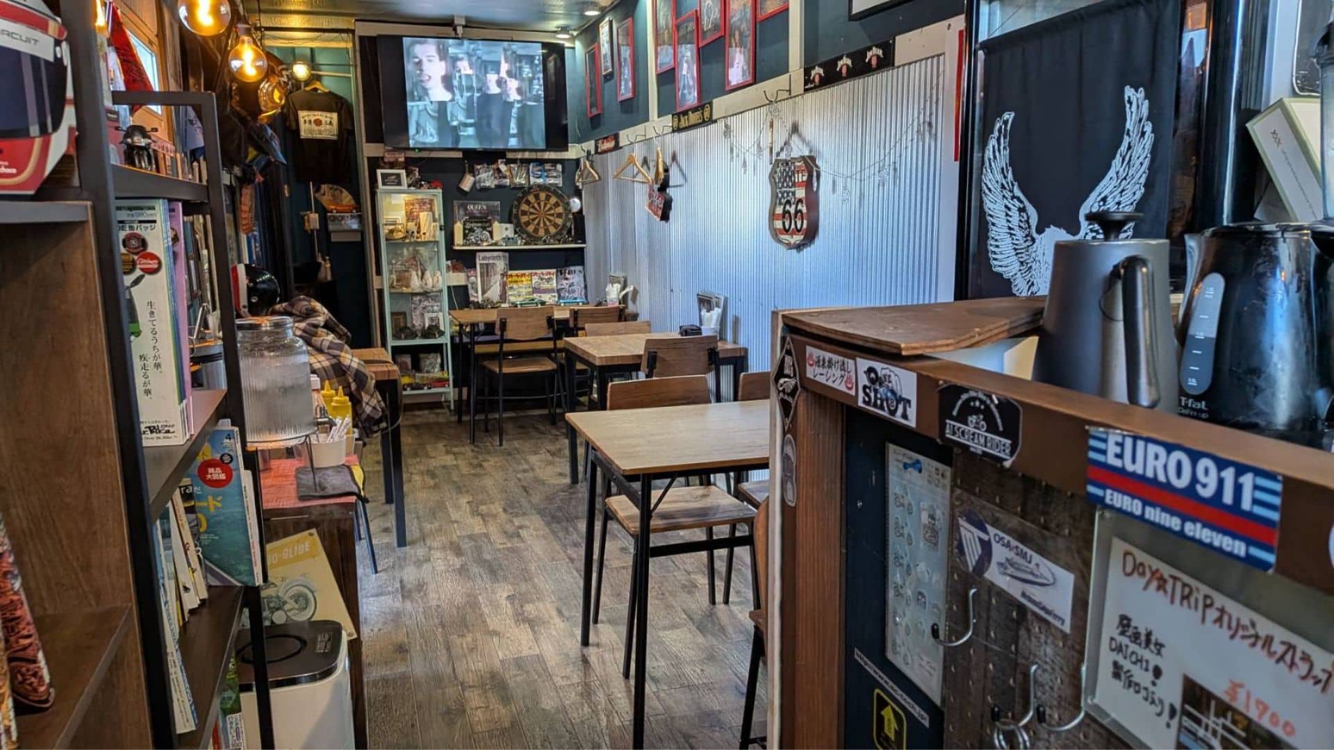 占いに興味がある猫