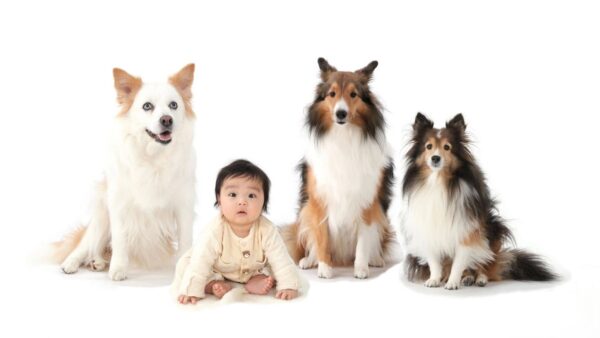 宗像市の動物好き必見！看板猫がいる癒しの美容室と、ペット撮影OKな写真館