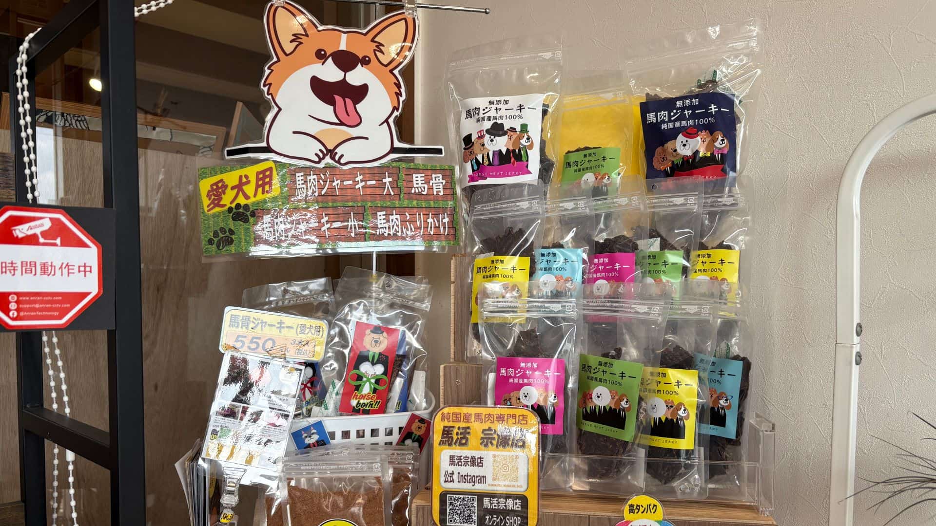 占いに興味がある猫