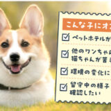 サンデー福岡（2/28号）に掲載されました！