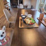 福津市の愛犬と行けるおしゃれなカフェ2選