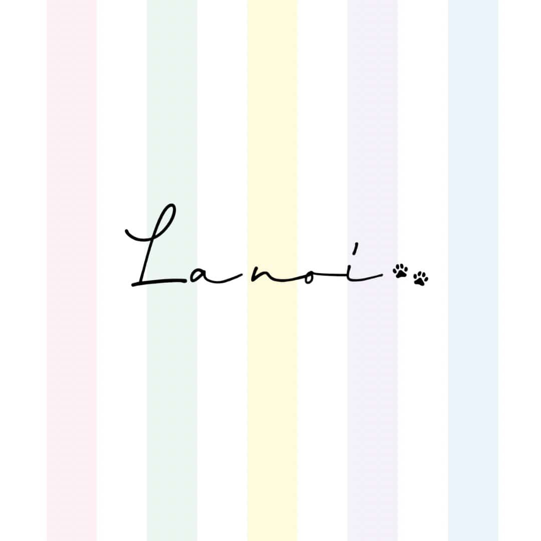 占いに興味がある猫