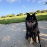 舞の里公園