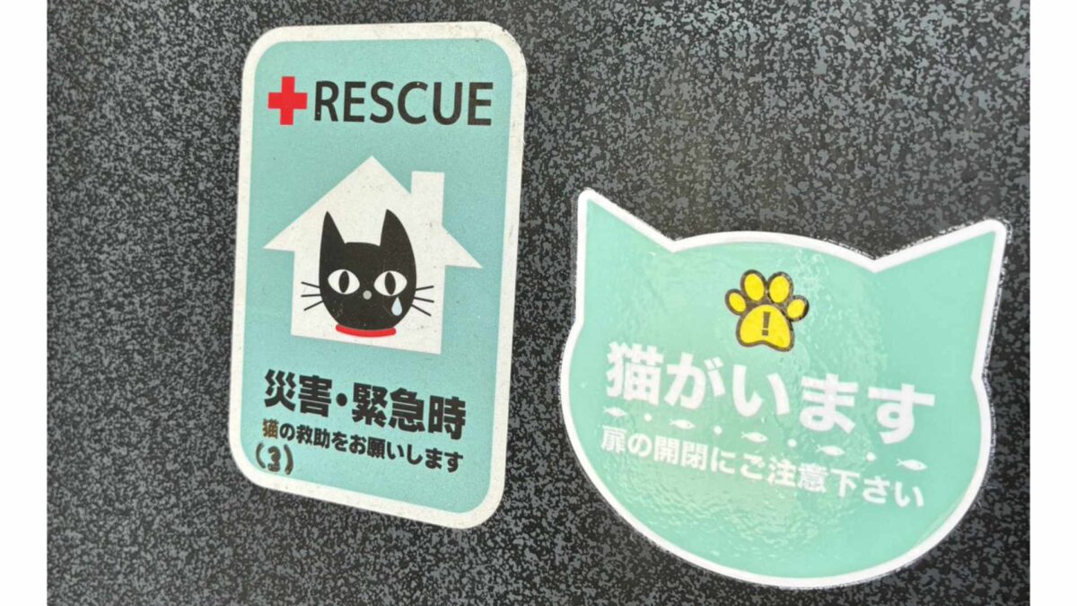 何をどれだけ備える？「ペットの防災グッズ」愛玩動物看護師が解説