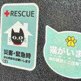 何をどれだけ備える？「ペットの防災グッズ」愛玩動物看護師が解説