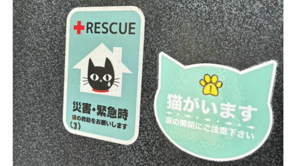 何をどれだけ備える？「ペットの防災グッズ」愛玩動物看護師が解説